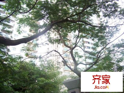 世界花园樱花居外景图小区相关图_1