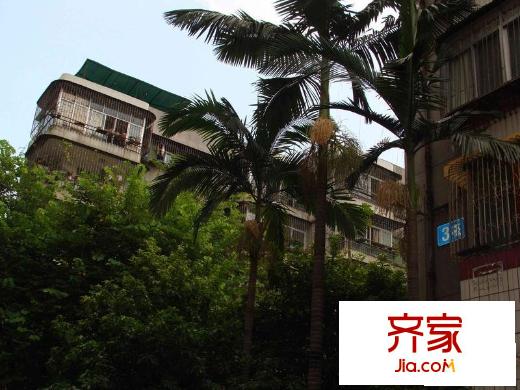 荔花村外景圖小區(qū)相關(guān)圖_4