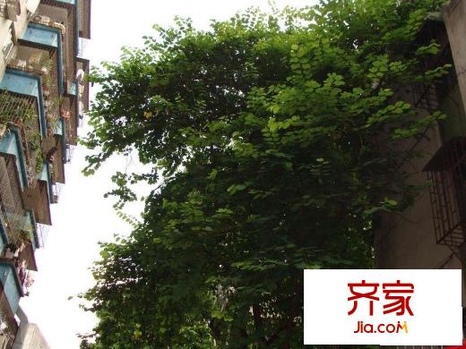 荔花村外景圖小區(qū)相關圖_7