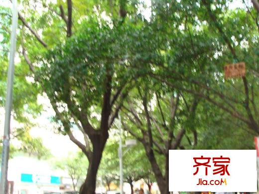 荔花村外景圖小區(qū)相關(guān)圖_1