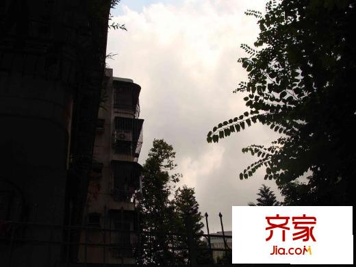 荔花村