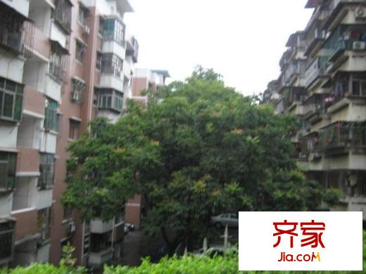 銀龍花園外景圖小區(qū)相關圖_2