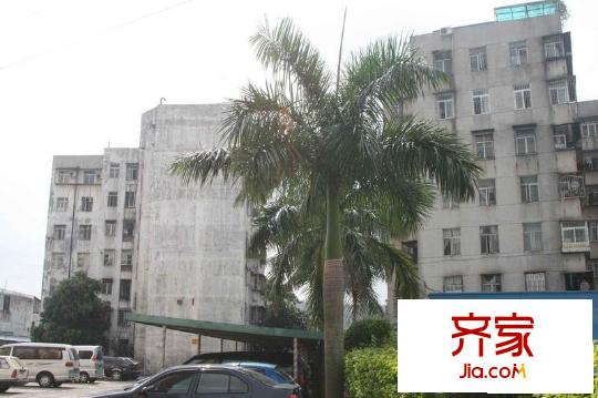 金秀小區(qū)外景圖小區(qū)相關(guān)圖_8
