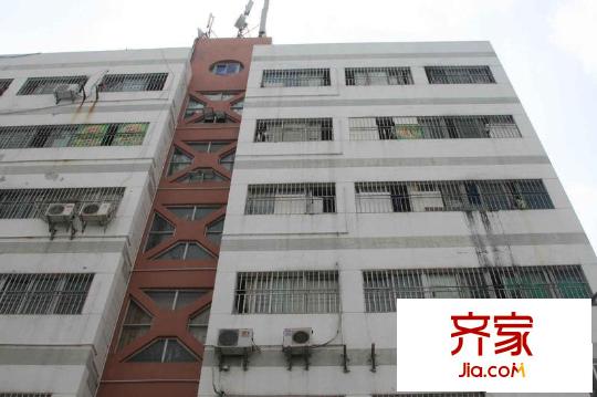 金秀小區(qū)外景圖小區(qū)相關(guān)圖_11
