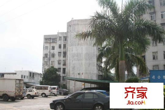 金秀小區(qū)外景圖小區(qū)相關圖_2