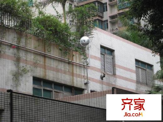 金湖花園B區(qū)外景圖小區(qū)相關(guān)圖_1