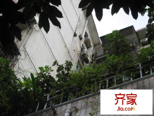 金湖花園B區(qū)