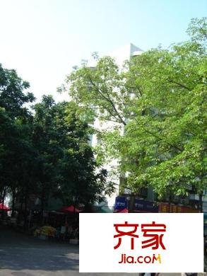 浪漫满屋外景图小区相关图_2