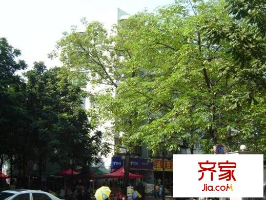 浪漫满屋外景图小区相关图_5