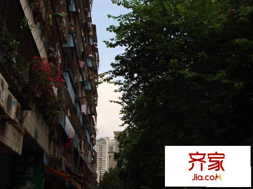荔花村外景圖小區(qū)相關(guān)圖_5