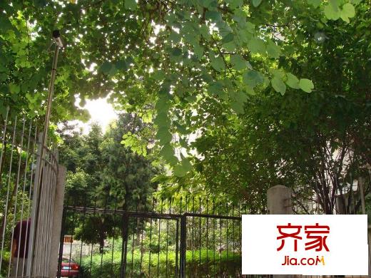 荔花村外景圖小區(qū)相關圖_6