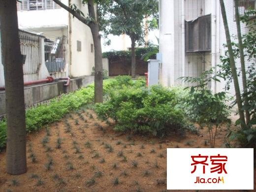 招东小区外景图小区相关图_4