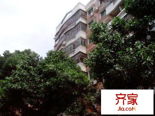 榕苑外景圖小區(qū)相關(guān)圖_7
