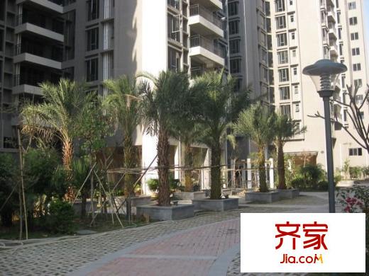 御龍華庭外景圖 