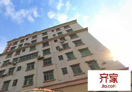 金港国际公寓外景图 (3)