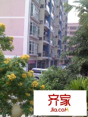 綠映居