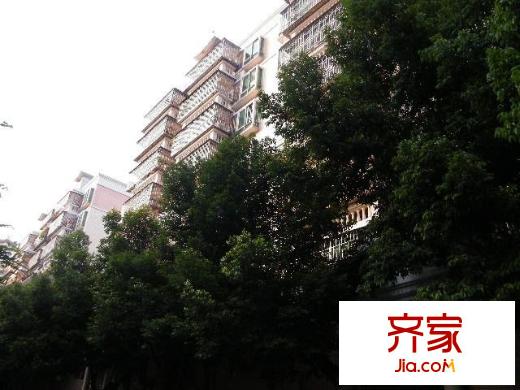 嘉逸花園外景圖小區(qū)相關(guān)圖_3