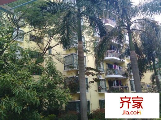 深华业大厦外景图