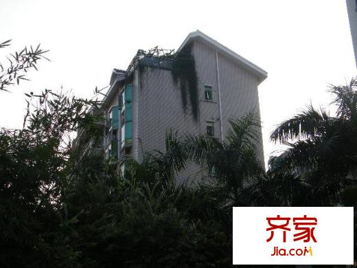 嘉逸花園外景圖小區(qū)相關(guān)圖_5