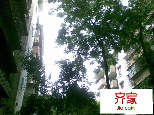 木頭龍小區(qū)外景圖小區(qū)相關(guān)圖_2
