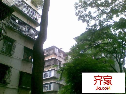 木頭龍小區(qū)外景圖小區(qū)相關(guān)圖_5