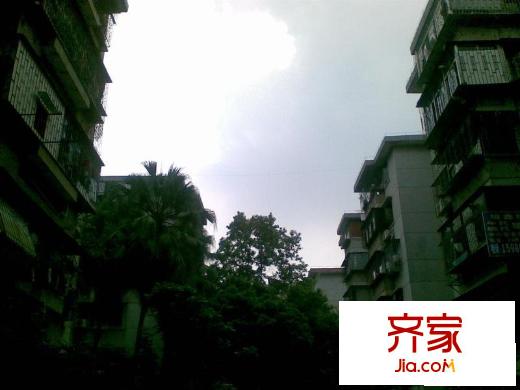 木頭龍小區(qū)外景圖小區(qū)相關(guān)圖_8