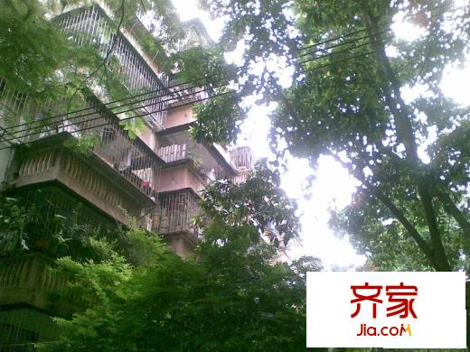 木頭龍小區(qū)外景圖小區(qū)相關(guān)圖_3
