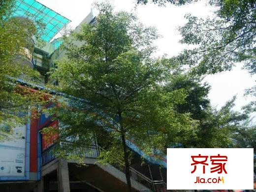 花園廣場(chǎng)外景圖小區(qū)相關(guān)圖_3