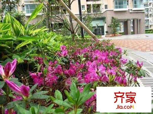 皓月花園二期外景圖小區(qū)相關(guān)圖_2