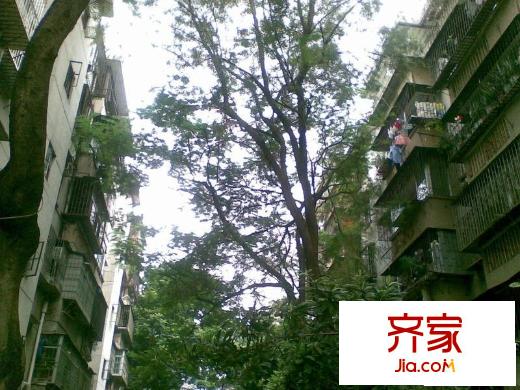 木頭龍小區(qū)外景圖小區(qū)相關(guān)圖_7