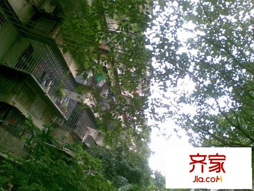木頭龍小區(qū)外景圖小區(qū)相關(guān)圖_1