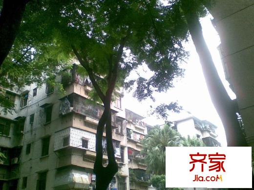 木頭龍小區(qū)外景圖小區(qū)相關(guān)圖_6