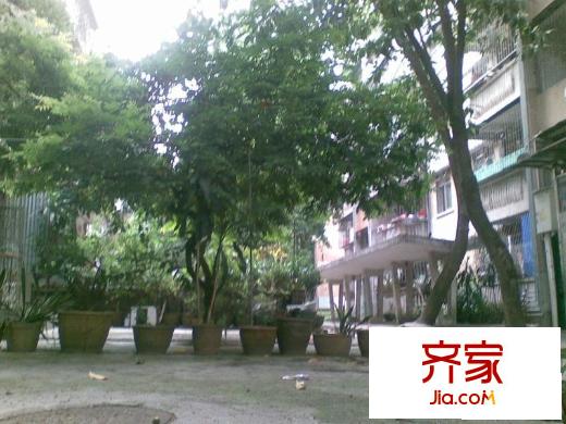 木頭龍小區(qū)外景圖小區(qū)相關(guān)圖_4