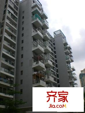 橄欖綠洲外景圖小區(qū)相關(guān)圖_9