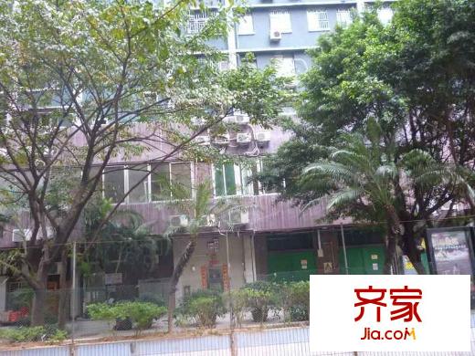 羅湖大廈外景圖 