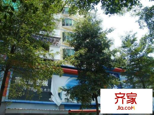 花園廣場(chǎng)外景圖小區(qū)相關(guān)圖_7