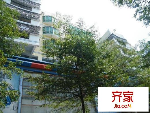 花園廣場(chǎng)外景圖小區(qū)相關(guān)圖_1