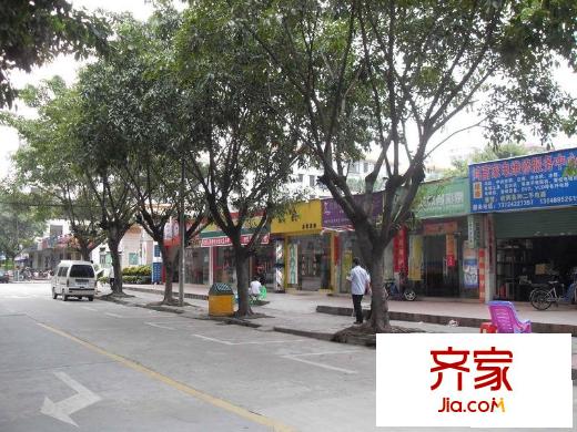 迎僑花園外景圖小區(qū)相關圖_1