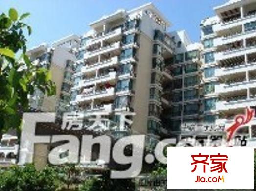三科一品