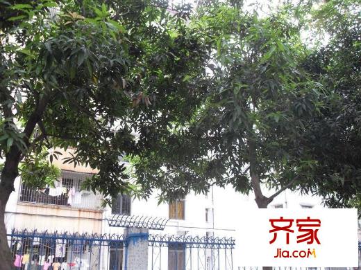 迎僑花園外景圖小區(qū)相關圖_2