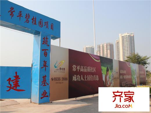 碧桂園常平首府外景圖小區(qū)施工現(xiàn)場（2013-12-27）