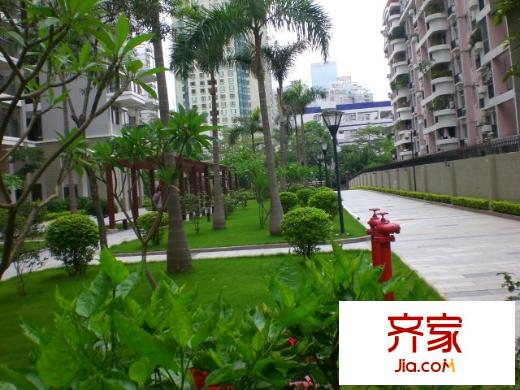 紫荊苑外景圖小區(qū)相關(guān)圖_3