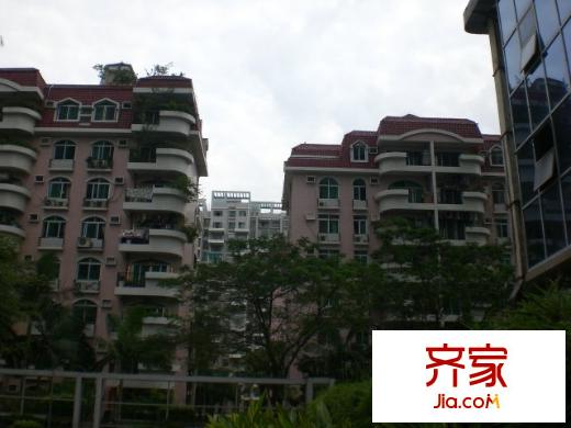 紫荊苑外景圖小區(qū)相關(guān)圖_11