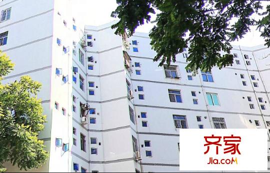 西丽楼外景图9