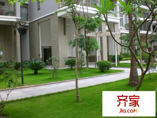 紫荊苑外景圖小區(qū)相關(guān)圖_2