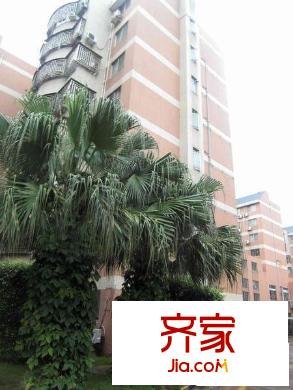 南侨花园外景图小区相关图_7