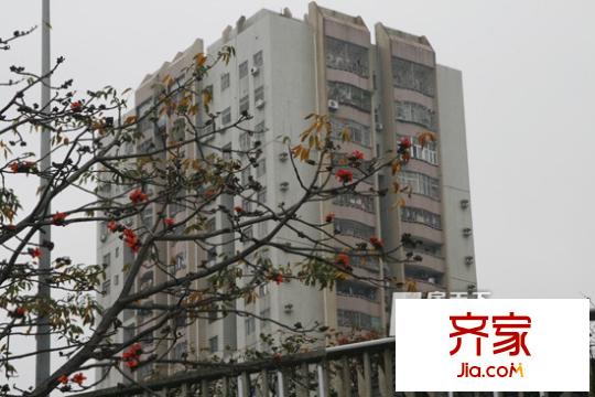 杰恩大廈外景圖 