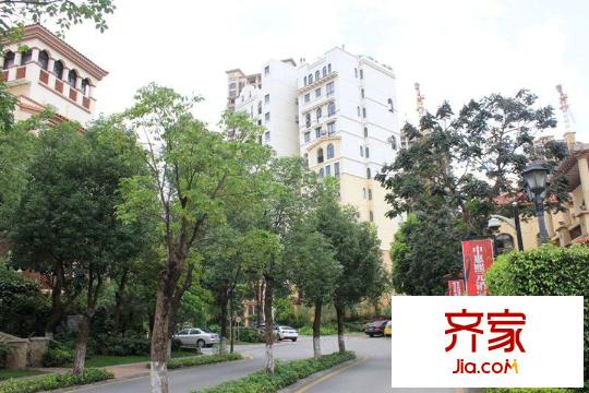 中惠香樟綠洲實(shí)景圖小區(qū)園林（2014-7）