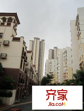 中惠香樟綠洲外景圖項(xiàng)目小區(qū)實(shí)景圖（2010.09.19）