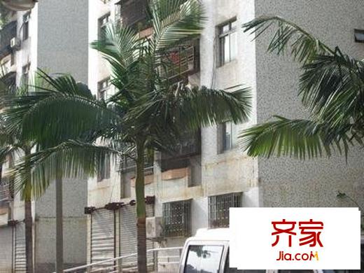 景田北小區(qū)外景圖